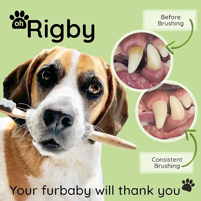 Dog Toothbrush- 10,000 Ultra-Soft Bristles for Sensitive Pet Teeth & Gums- Natural Bamboo Toothbrush for Comfortable, Gentle Deep Cleaning