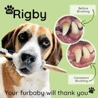 Dog Toothbrush- 10,000 Ultra-Soft Bristles for Sensitive Pet Teeth & Gums- Natural Bamboo Toothbrush for Comfortable, Gentle Deep Cleaning