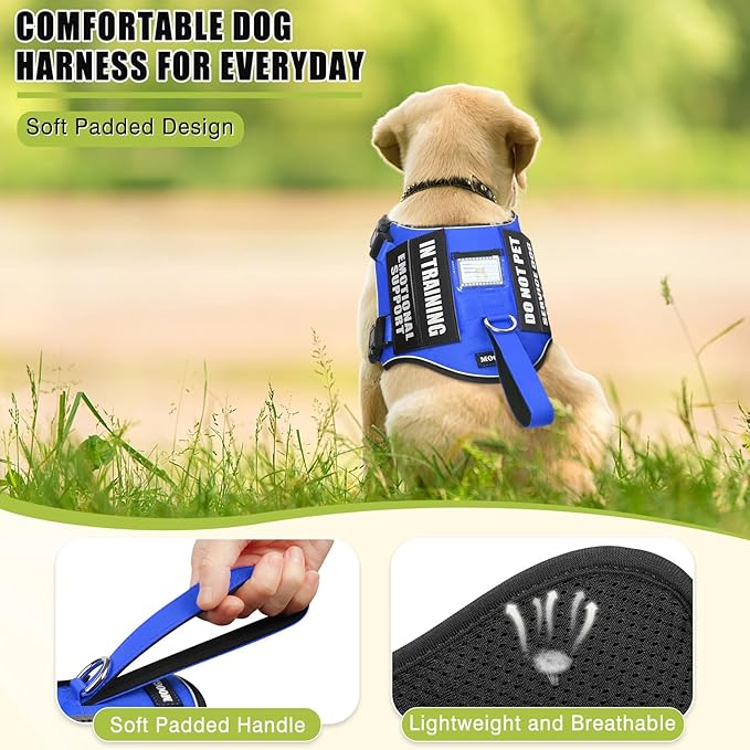 Service Dog Vest Harness+ID Tag+10 Patches,Metal Serivce Dog Tag&Reflective Emotional Support Dog Vest with Handle for Small Dogs,Easy Put On/Off for Training/Walking/Everyday Blue XS