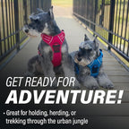 Doggie Design Venture Paw No Pull Dog Harness - Simple Adjustable Puppy Harness - Anti Pull Dog Collar for Walks and Outdoor Adventures - Mountain Lake, M