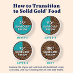 Solid Gold Sensitive Stomach Dry Cat Food - Grain Free & Gluten Free Sensitive Stomach Cat Food for Indoor Adult & Senior Cats - Dry Kibble for Cats w/Quail, Pumpkin & Probiotics for Gut Health - 6lb