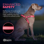 BLAZIN No Pull Dog Harness - Adjustable Step-in Reflective Nylon Vest Harness - Neoprene Padded for Extra Comfort (Large, Pink)