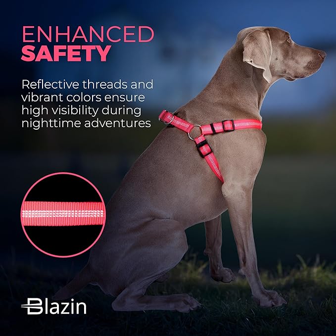 BLAZIN No Pull Dog Harness - Adjustable Step-in Reflective Nylon Vest Harness - Neoprene Padded for Extra Comfort (Small, Pink)