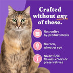 Halo Wet Cat Food Whole Salmon Stew Recipe, Grain Free Wet Cat Pate, Canned Cat Food for Extra Hydration, 5.5 Oz Can (Pack of 12)