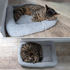 Cat Bed for Cat, Washable Indoor Cat Cushion Bed, Soft and Cozy Plush Pet Bed-M