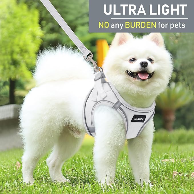 GAMUDA Small Pet Harness Collar and Leash Set, Step in No Chock No Pull Linen Fabric Soft Mesh Dog Vest Harnesses Reflective for Dogs Puppy Cats Kitten Rabbit (White, M)