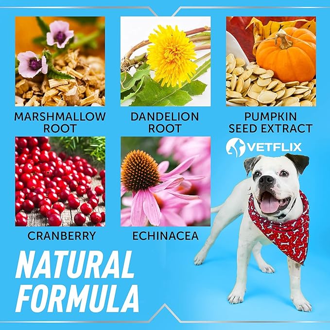 Cranberry UTI & Kidney Support for Dogs & Cats - Made in USA - Natural Urinary Tract Health Supplement - Supports Immune & Bladder Function - 2 Fl Oz