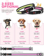 Weesiber Light Up Dog Collar, USB Rechargeable LED Dog Collar Glow in The Dark, Adjustable Reflective Waterproof Dog Collar Light for Night Walking(Pink, M)