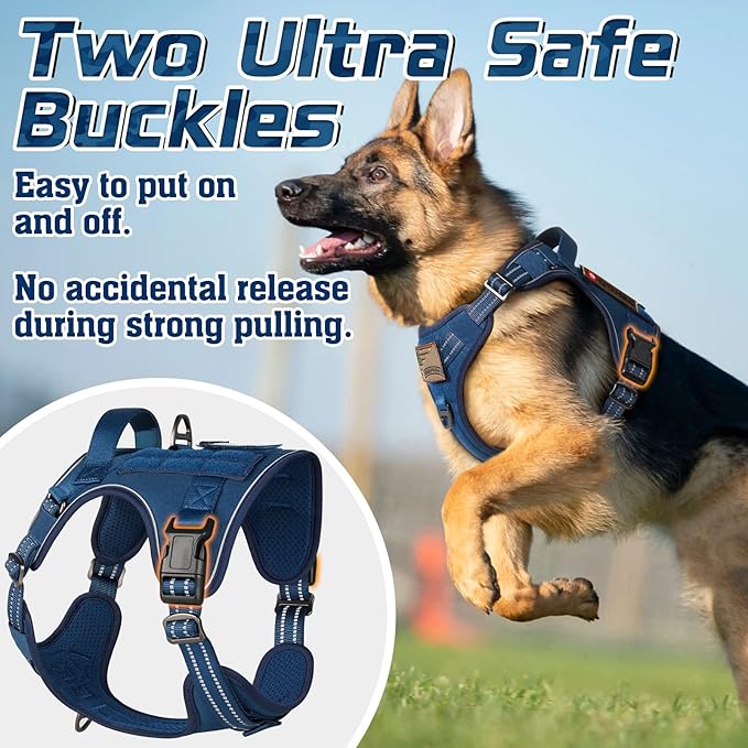 rabbitgoo Dog Harness No Pull, Military Dog Harness Medium Sized Dog with Handle & Molle, Easy Control Service Dog Vest Harness Training Walking, Adjustable Reflective Tactical Pet Harness, Blue, M