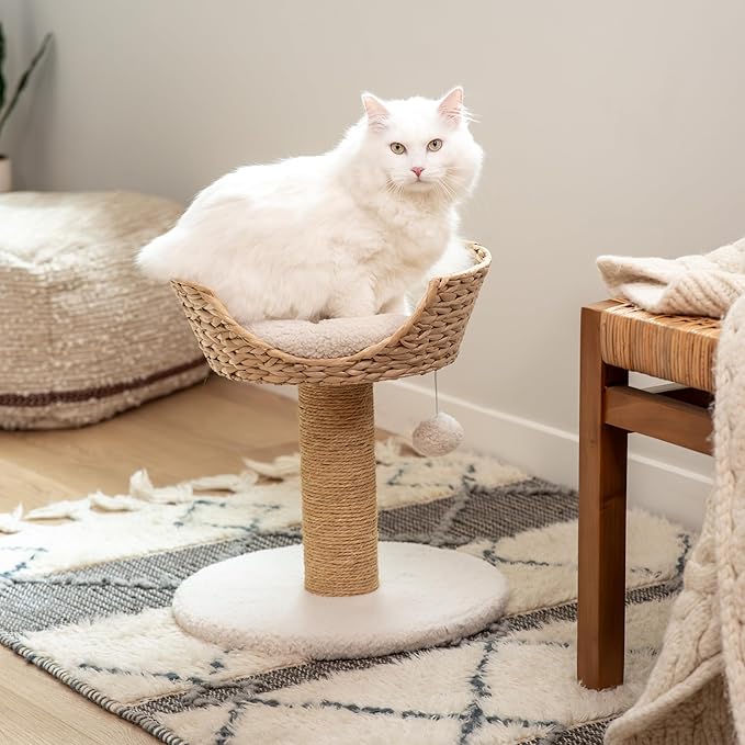 Harry Barker Cat Scratcher, Replacement Scratchers, Sisal Scratching Posts, Scratching Post with Bed