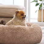 Bedsure Calming Cat Beds for Indoor Cats - Small Cat Bed Washable 20 inches, Anti-Slip Round Fluffy Plush Faux Fur Pet Bed, Fits up to 15 lbs Pets, Camel