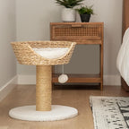 Harry Barker Cat Scratcher, Replacement Scratchers, Sisal Scratching Posts, Scratching Post with Bed