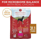 Purina ONE Chicken and Rice Formula Dry Dog Food - 31.1 lb. Bag