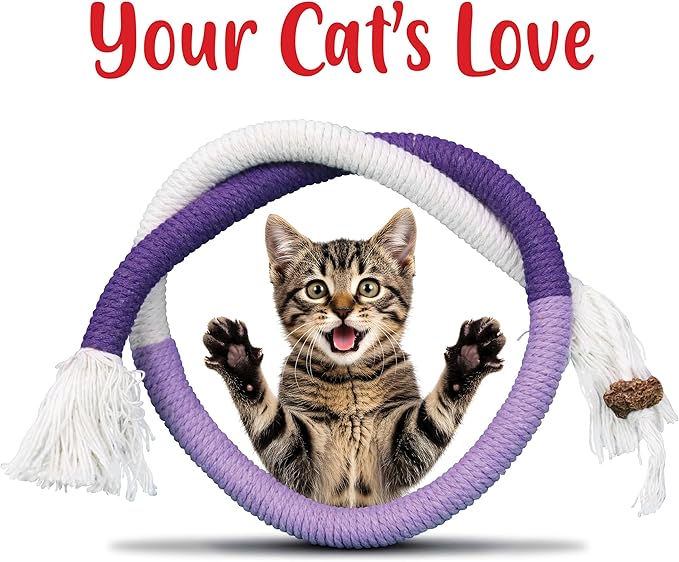 6 PCS Cat Chew Ropes & Silvervine Sticks, Cat Chew Toy Gale Fruit & Raffia for Stress and Anxiety Relief, Enrichment and Play, Kitten Teething Toys, Transfer Chewing from Wires to Cotton Rope