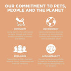 Go! Solutions Digestion + Gut Health, Dry Cat Food, Salmon Recipe with Ancient Grains, 3 lb Bag