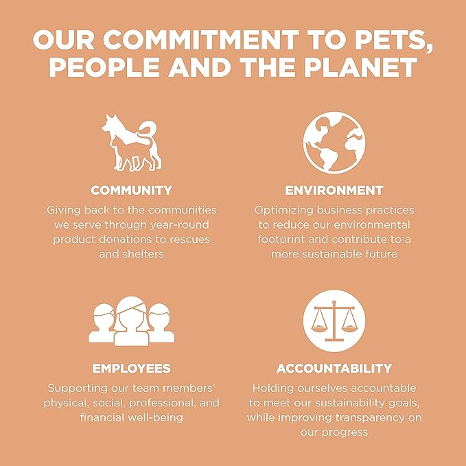 Go! Solutions Digestion + Gut Health, Dry Cat Food, Salmon Recipe with Ancient Grains, 3 lb Bag