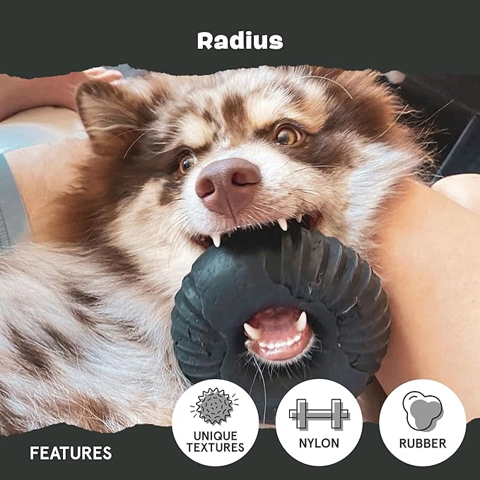 Barkbox Super Chewer Tough Dog Chew Toys for Aggressive Chewers, Dental Stimulating (Radius - Large)