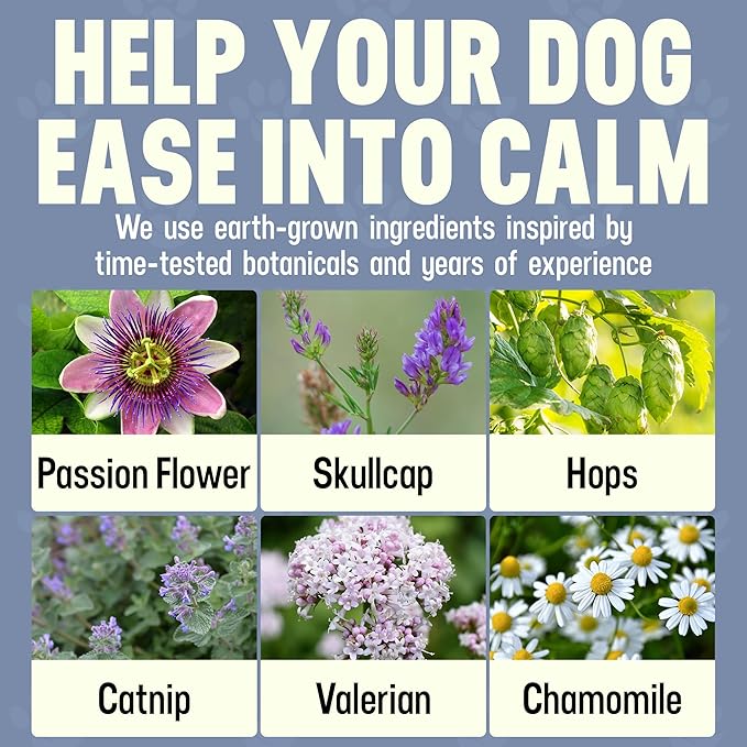 Better Dog Supplements Calm Surrender by Cesar Millan – Natural Dog Calming Powder for Stress, Anxiety, Grooming, Travel & Thunderstorms – Catnip, Chamomile & Valerian – 4oz, (60-Day Supply)