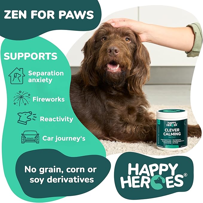 Clever Calming Chews for Dogs, 100% Natural Dog Supplement, For Anxiety Relief, Helps Stress, Fear, Hyperactivity, Reactivity, Beef Flavor Calming Dog Treats, Made in USA, 60 Soft Chews