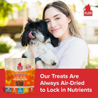 PLATO Mini Thinkers Sticks - Natural Dog Treats - Real Meat - Air Dried - Made in the USA, Chicken Flavor, 6 ounces