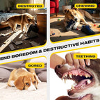 Fida Heavy Duty Dog Rope Toys for Aggressive Chewers 4pcs Pack – Natural Cotton Dog Chew Toys for Large Dogs, Tug-of-War & Fetch Rope Ball/Ring/Knot/Twist to Keep Them Busy