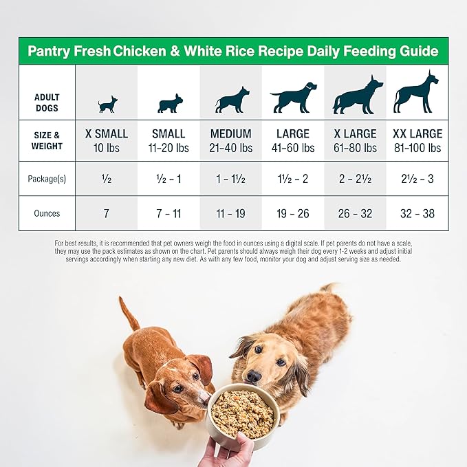 JustFoodForDogs Pantry Fresh Wet Dog Food, Complete Meal or Dog Food Topper, Chicken & White Rice Human Grade Dog Food Recipe - 12.5 oz (Pack of 12)
