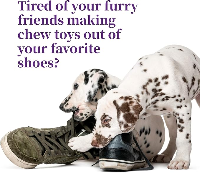 Harbor's Bitter No Chew Spray | 3 X Strength Chewing Deterrent Spray | Anti Chew Behavior Training Aid | Stops Destructive Chewing and Licking of Shoes, Bandages, Paws, Fur & Furniture | Made in USA