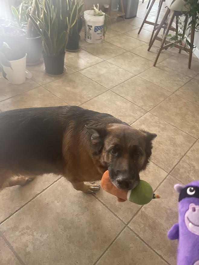 Jalousie 5 Pack Tough Plush Animal Dog Toys Assortment Value Bundle Dog Squeaky Toys Assortment Puppy Pet Mutt Dogs Toy Squeak Toy for Snall Medium Large Breeds (6 Pack Surprise Mix)