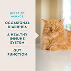 VetIQ Probiotic Powder for Cats, Compare to Fortiflora Probiotic Powder*, Treats Diarrhea and Food Sensitivity, Chicken Flavored Single Serve Packets for Indoor and Outdoor Cats, 30 Count