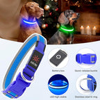 Flashseen LED Dog Collar, Light Up Dog Collar USB Rechargeable, Brightest Dog Lights for Night Walking, Adjustable Dog Collar Light for Dog Safety(Medium, Royal Blue)