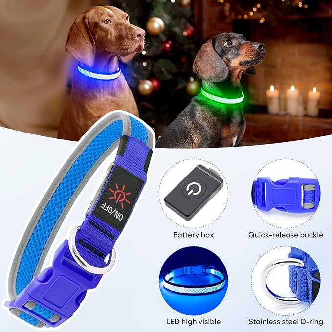 Flashseen LED Dog Collar, Light Up Dog Collar USB Rechargeable, Brightest Dog Lights for Night Walking, Adjustable Dog Collar Light for Dog Safety(Medium, Royal Blue)