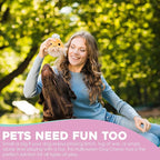 Flourish Pets 2 in 1 Multi-Layer Chew Toy for Active Dogs | Non-Toxic BPA Free Double Stitched Soft Fabric Exterior Dog Toys | Long-Lasting Dog Plush Toys – Turkey + Pumpkin (4”)