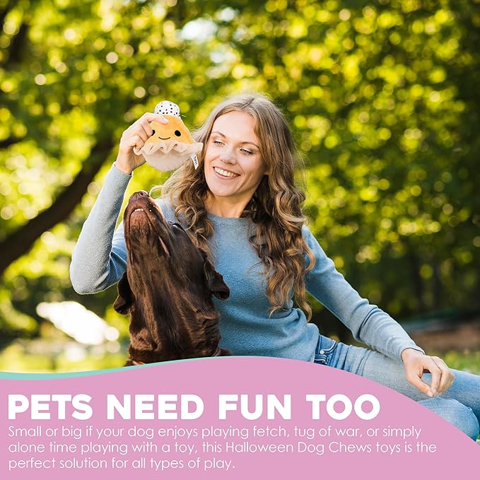 Flourish Pets 2 in 1 Multi-Layer Chew Toy for Active Dogs | Non-Toxic BPA Free Double Stitched Soft Fabric Exterior Dog Toys | Long-Lasting Dog Plush Toys – Turkey + Pumpkin (4”)