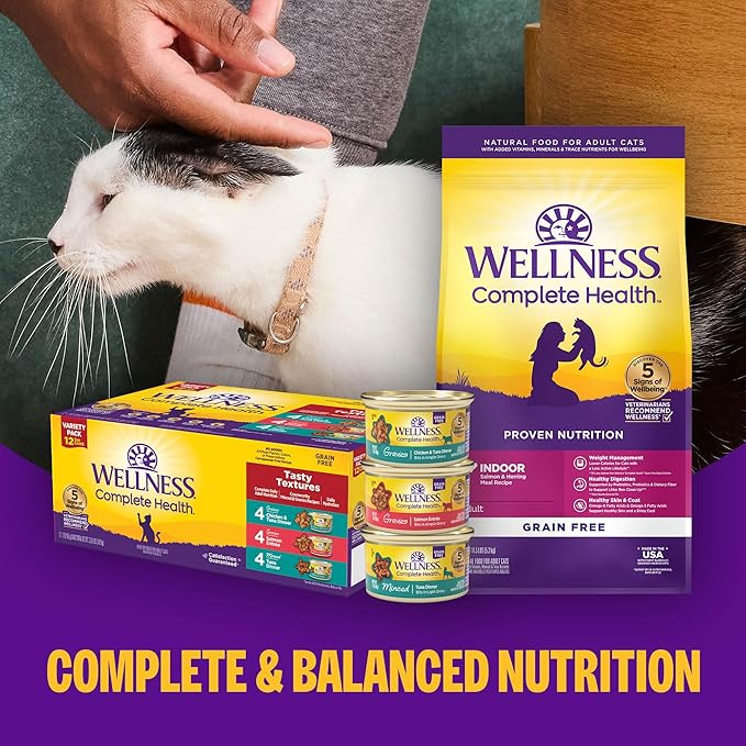 Wellness Complete Health Pate Adult Wet Cat Food, Natural, Protein-Rich, Grain Free, 5.5 Ounce, 24 Pack, (Turkey & Salmon)