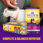 Wellness Complete Health Pate Adult Wet Cat Food, Natural, Protein-Rich, Grain Free, 3 Ounce, 24 Pack, (Beef & Chicken)