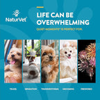 NaturVet Quiet Moments Calming Aid Dog Supplement, Helps Promote Relaxation, Reduce Stress, Storm Anxiety, Motion Sickness for Dogs (Quiet Moments Melatonin, 60 Soft Chews)