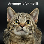 SHA CERLIN 68 Inches Multi-Level Large Cat Tree for Large Kitties/Big Cat Tower with Condo/Cozy Plush ‌Pussycat Perches/Sisal Scratching Posts and Hammocks/Activity Center/Leopard Print