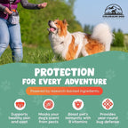 100% Natural Flea & Tick Prevention for Dogs, Chewable – Made in USA Bacon Flavor Soft Chews – Dog Flea & Tick Treatment Control – Oral Pill Repellent Alternative for All Breeds (120 Ct)