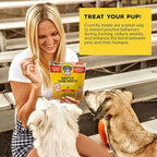 Brutus Bone Broth Biscuits (Chicken) - Healthy Dog Treats - Natural Biscuits with Dog Bone Broth and Real Chicken Meat - 18 Grams of Protein - 8 OZ (Pack of 2)