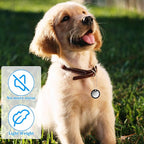 12 Pack Dog Tag Silencers Rubber Dog Tags Cover ID Tags with 4 Stainless Steel Chain Black Army Engraved Dogs Tag Pet ID Protector to Reduce Noise Black