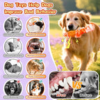 Dog Chew Toys for Aggressive Chewers: Squeaky Dog Toy to Keep Them Busy, Reduce Boredom and Consume Energy for Medium, Large Breed(Orange)