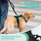 rabbitgoo Dog Harness No Pull with 2 Leash Clips, Adjustable Soft Padded, Reflective Oxford No Choke Pet Vest with Easy Control Handle for Large Dogs, Black & Turquoise, L