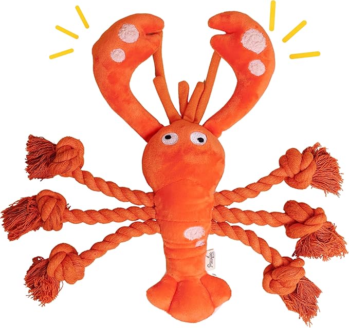 Tough Dog Toys, Large Squeaky Rope Tug of War Dog Toys for Puppy, Small, Medium, Large Dogs, Interactive Stuffed Plush Toys, Dog Birthday Gifts - Lobster