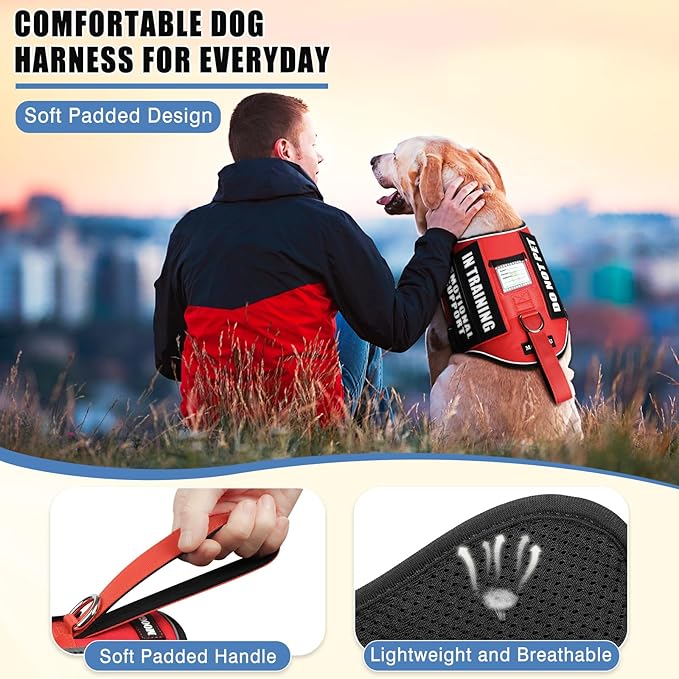 Service Dog Vest Harness+ID Tag+10 Patches,Metal Serivce Dog Tag&Reflective Emotional Support Dog Vest with Handle for Large Dogs,Easy Put On/Off for Training/Walking/Everyday Red XL