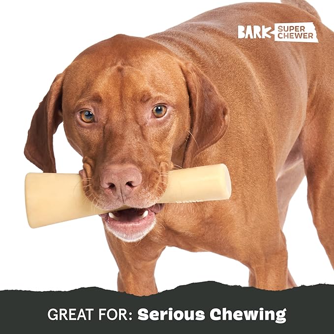 Barkbox Super Chewer Tough Dog Chew Toys for Aggressive Chewers, Dental Stimulating (Bacon Bone - Small)