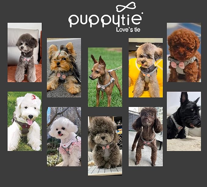 Puppytie No Pull Small Dog Harness with Multifunction Dog Leash,Lightweight Soft Adjustable No Choke Escape Proof Pet Harness Vest Pet Harness Vest,Knitted Black-White,S