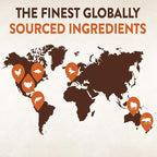 Wellness CORE+ (Formerly RawRev) Natural Grain Free Dry Dog Food, Original Turkey & Chicken with Freeze Dried Turkey, 4-Pound Bag