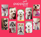 Puppytie No Pull Small Dog Harness with Multifunction Dog Leash,Lightweight Soft Adjustable No Choke Escape Proof Pet Harness Vest Pet Harness Vest,Suede Bow Wine red,S