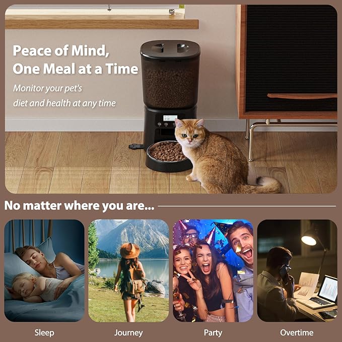 Automatic Cat Feeder,4L Timed Cat Dry Food Dispenser,Pet Feeder up to 6 Meals and 30 Portions per Day,10S Voice Record,Flexible Schedule Timer,Dual Power,Stainless Steel Bowl,for Cats and Small Dogs