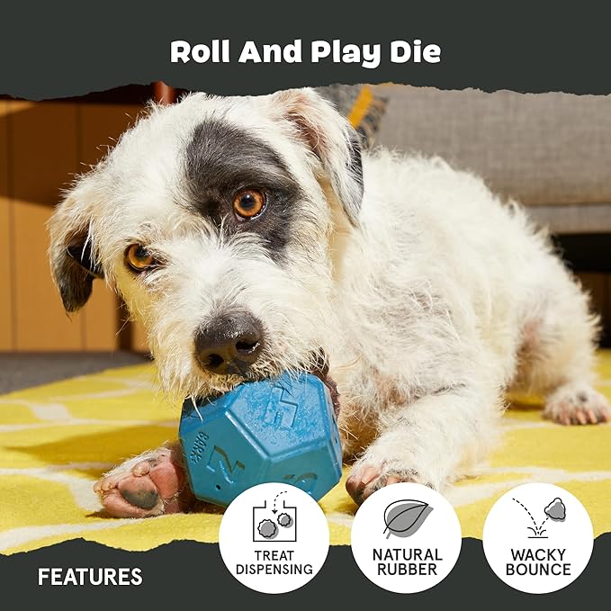 Barkbox Roll and Play Die Dog Toy, Natural Rubber, Treat Dispensing, Toss & Tumble Fun with Wacky Bounce - Dog Toy for Aggressive Chewers